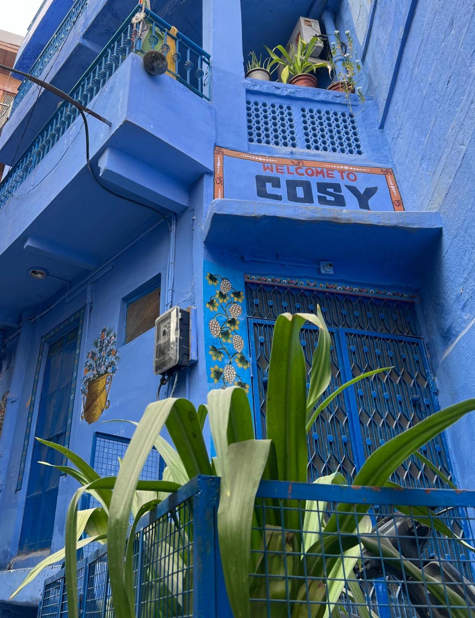 Cosy Guest House Jodhpur  Luaran gambar